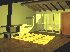 Preview 3D Veranda